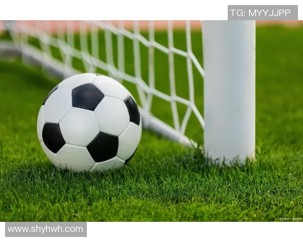 足球的基本构成要素与其在比赛中的重要作用分析 足球的基本构成要素与其在比赛中的重要作用分析