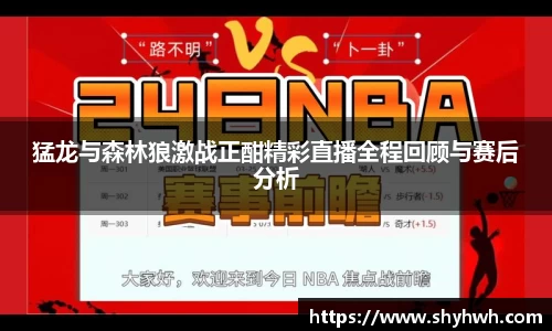 猛龙与森林狼激战正酣精彩直播全程回顾与赛后分析